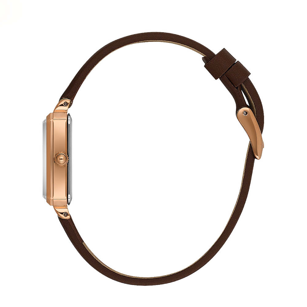 ساعت مچی زنانه دنیل کلین DANIELKLEIN DK.1.13935-6